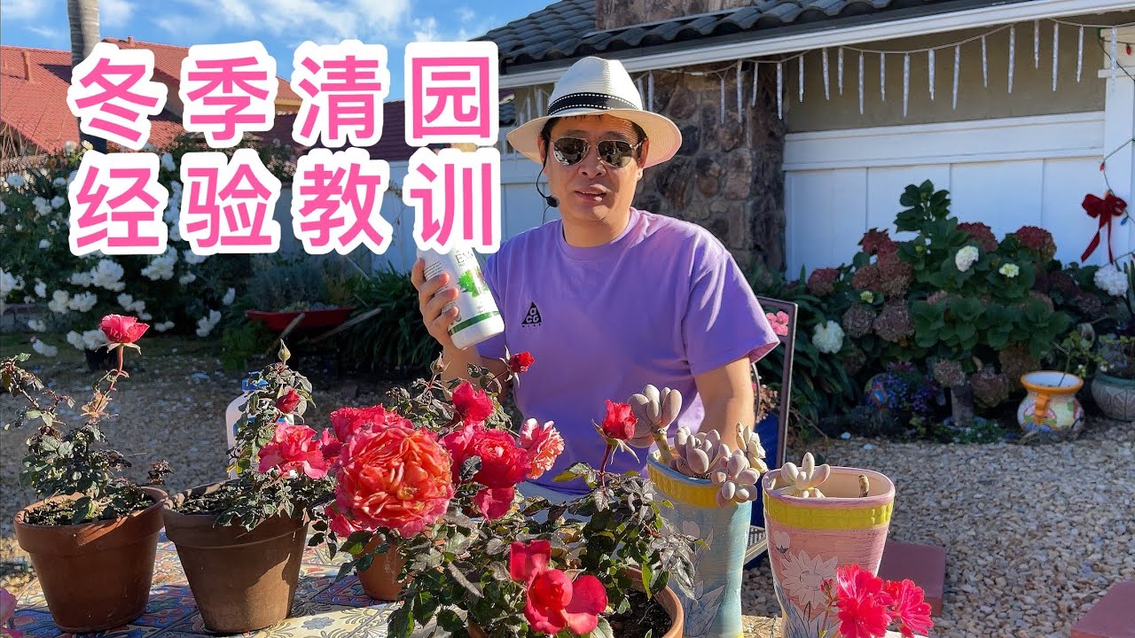 (园艺篇164）冬季清园也是伪命题，强调重要性的都是忽悠！老何冬季清园的经验教训