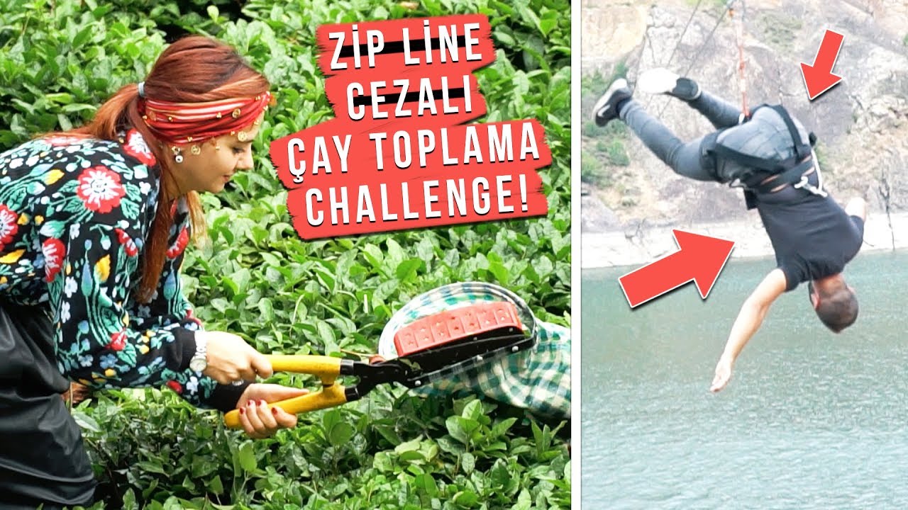 ÇAY NASIL TOPLANIR! ( ZİPLİNE CEZALI )