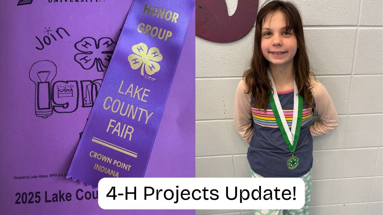 Update on 4H Projects: How We Turn In So Many!