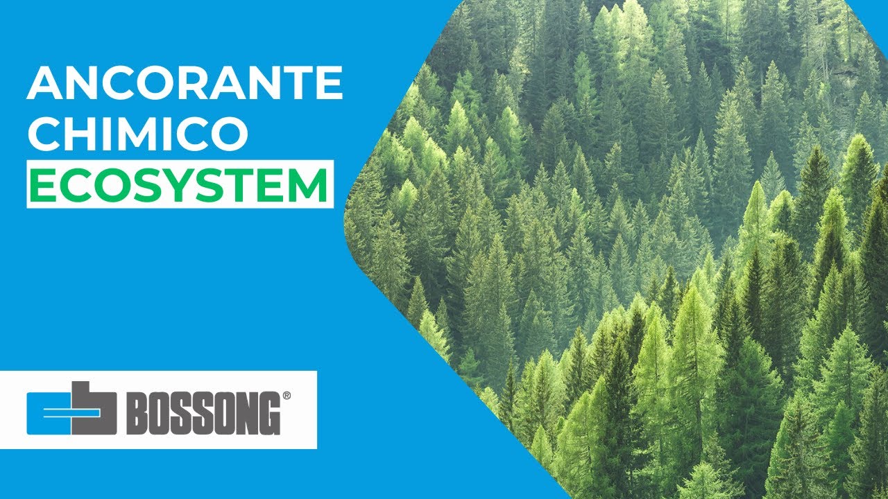 Ancorante chimico Bossong - Eco System