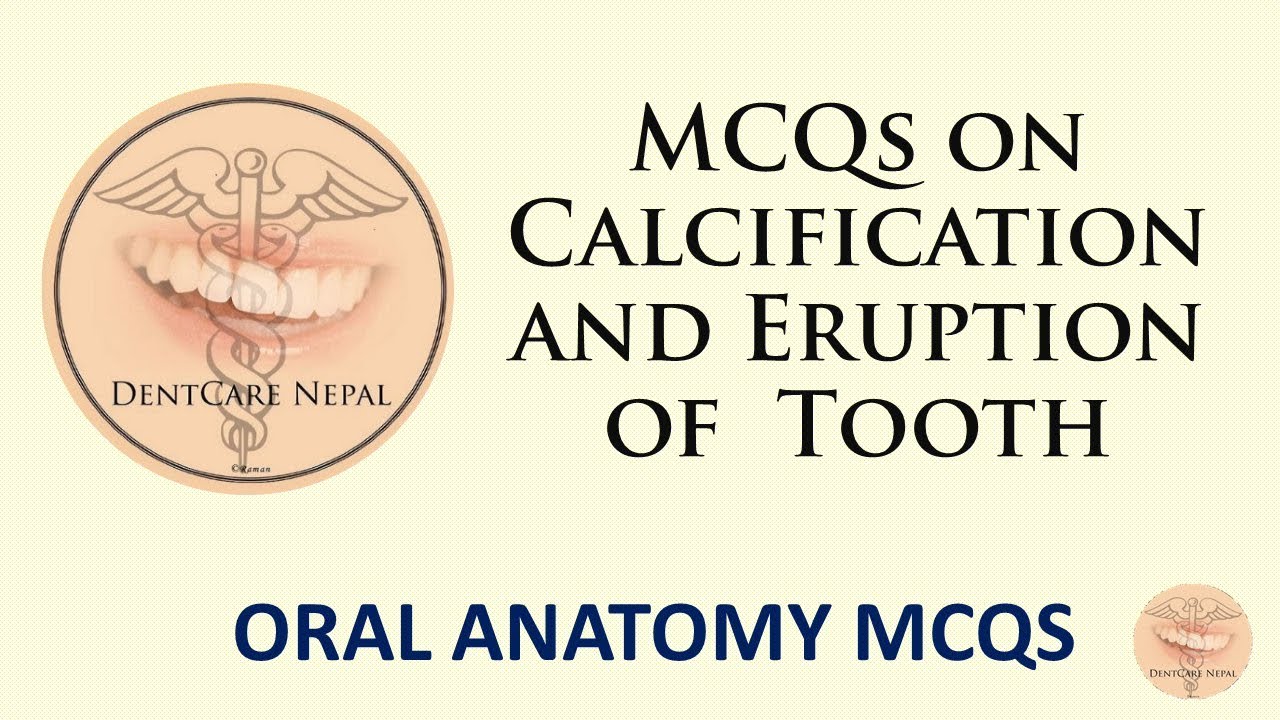 Oral Anatomy MCQs - Calcification and Eruption of Tooth - Dental MCQs