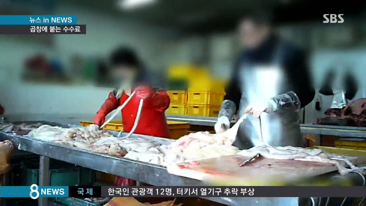 [경제] '고기보다 비싼 곱창' 왜?…이상한 유통 수수료 (SBS8뉴스|2015.03.11)