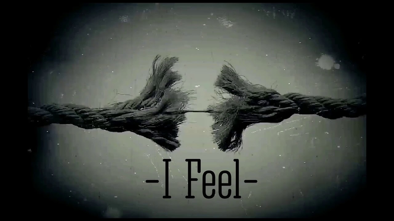 The plot in you - Feel nothing (lyrics video)