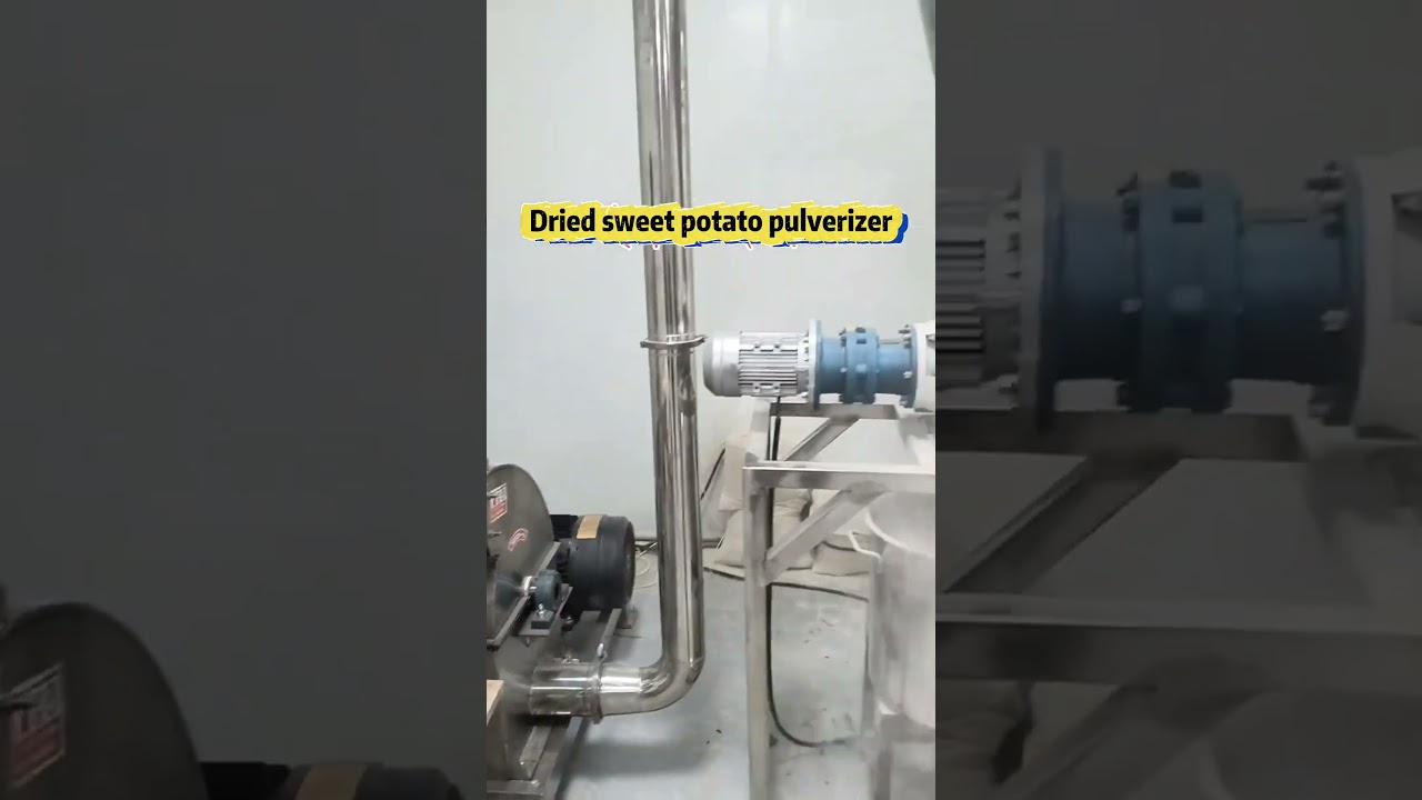 Stainless Steel Hammer Chip Pulverizer Trial Site #PelletPulverizer #HammerChipPulverizer #fyp