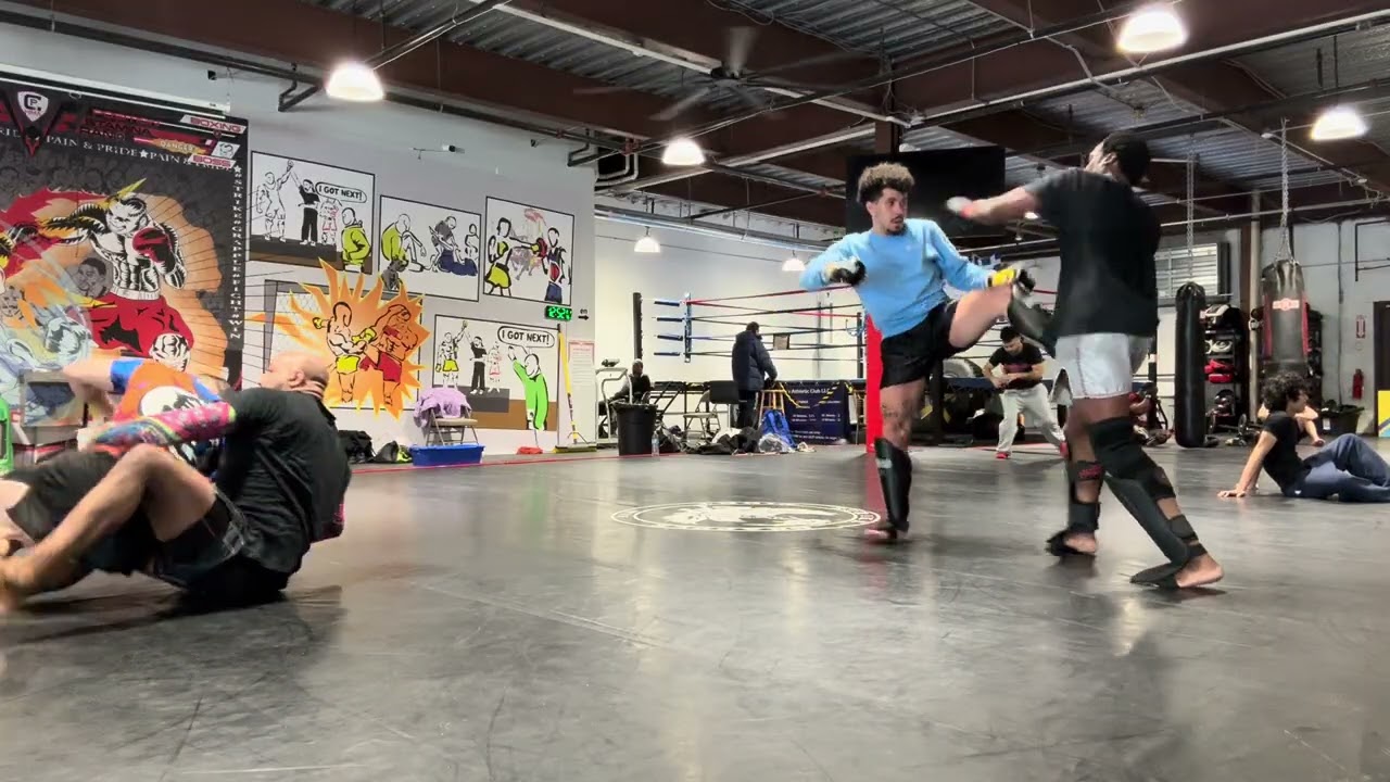 MMA Sparring 