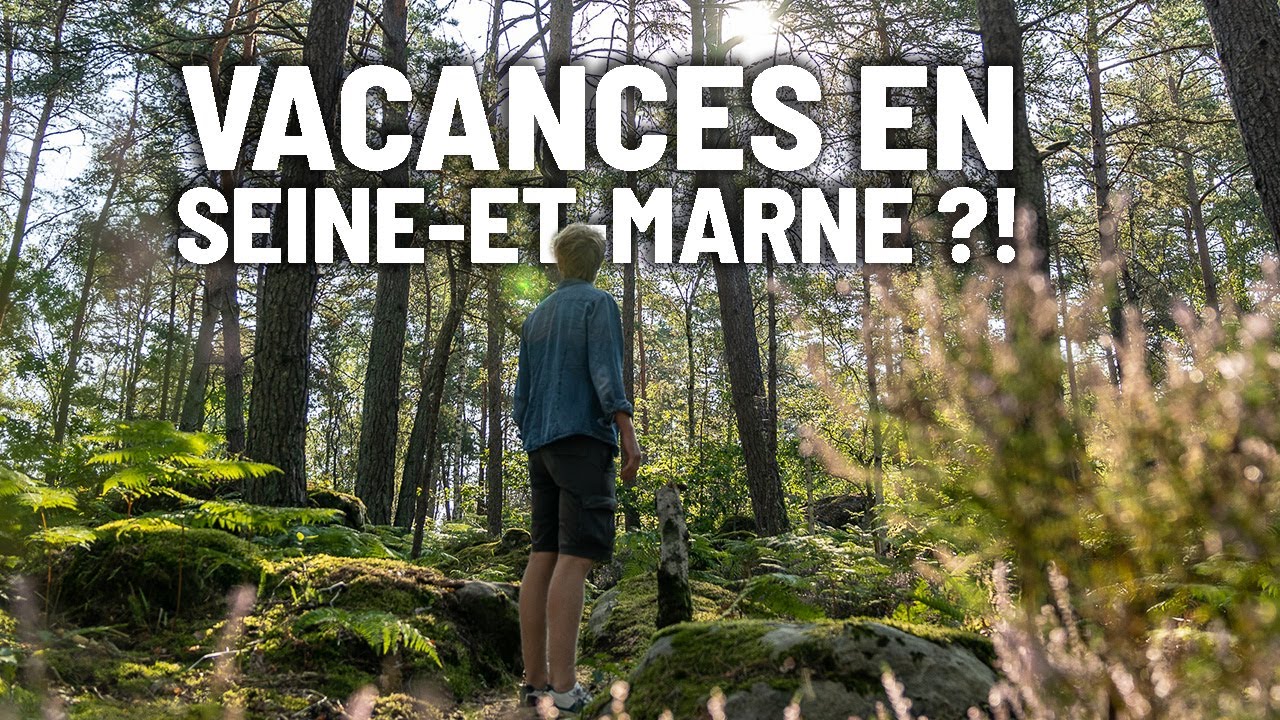 N'ALLEZ PAS EN SEINE-ET-MARNE - Tolt en voyage dans les départements français