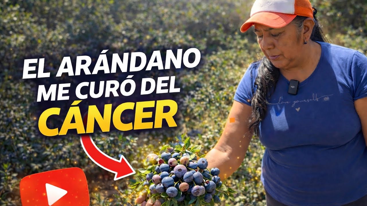 EL ARÁNDANO LA CURÓ 