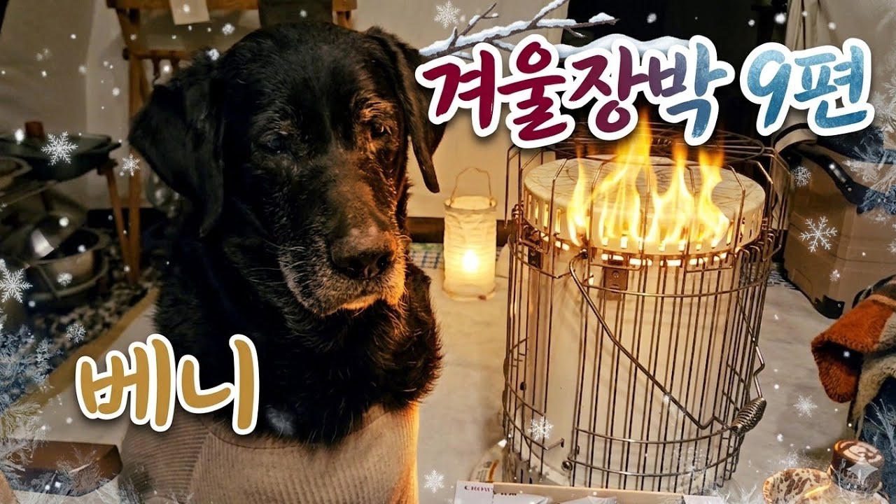 강아지와 명절 캠핑 의림지 산책부터 설산 트레킹까지 | 동계 장박 일기 Ep.9
