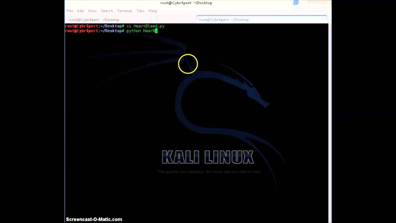 OpenSSL Heartbeat Vulnerability Exploited !!  POC