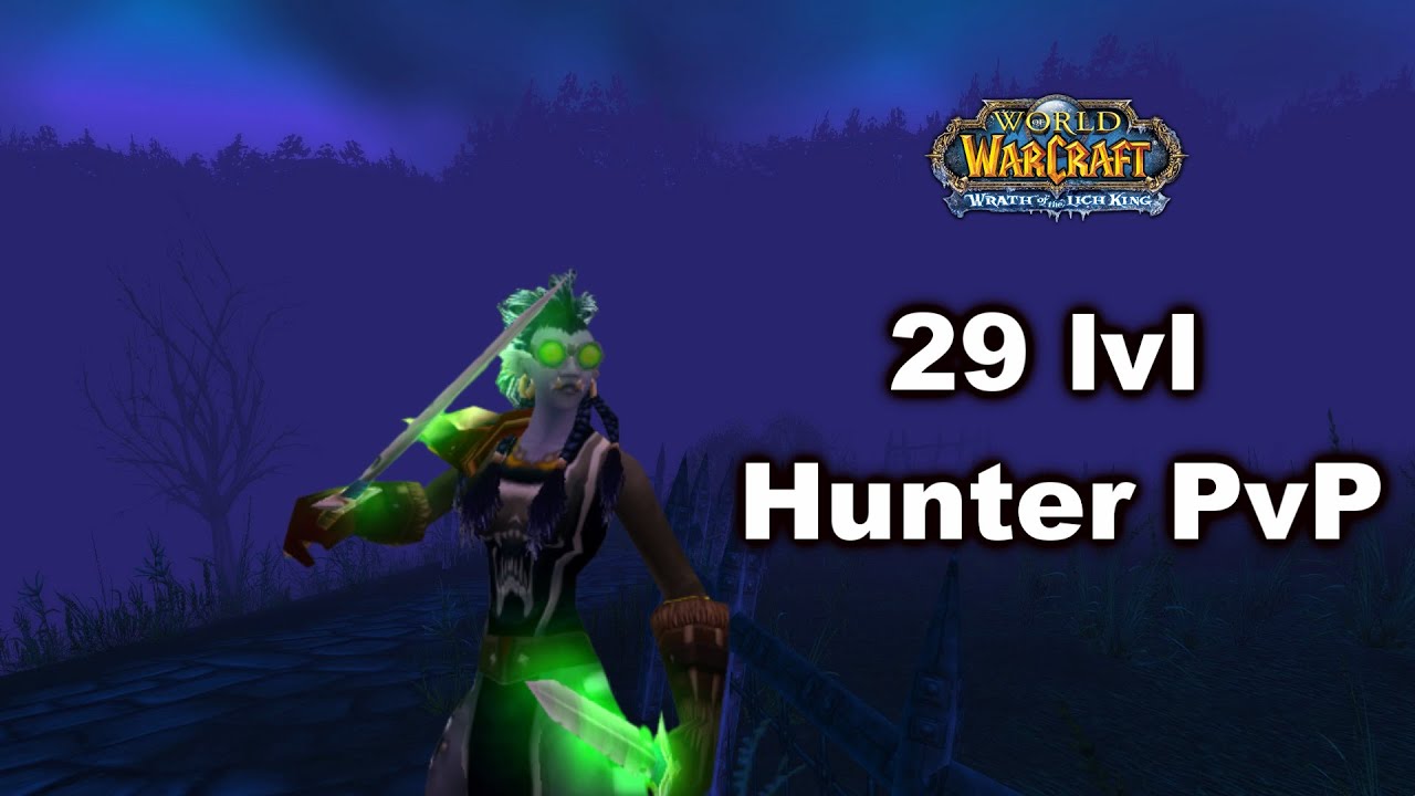29 lvl Hunter World PvP - WoW Wrath of the Lich King