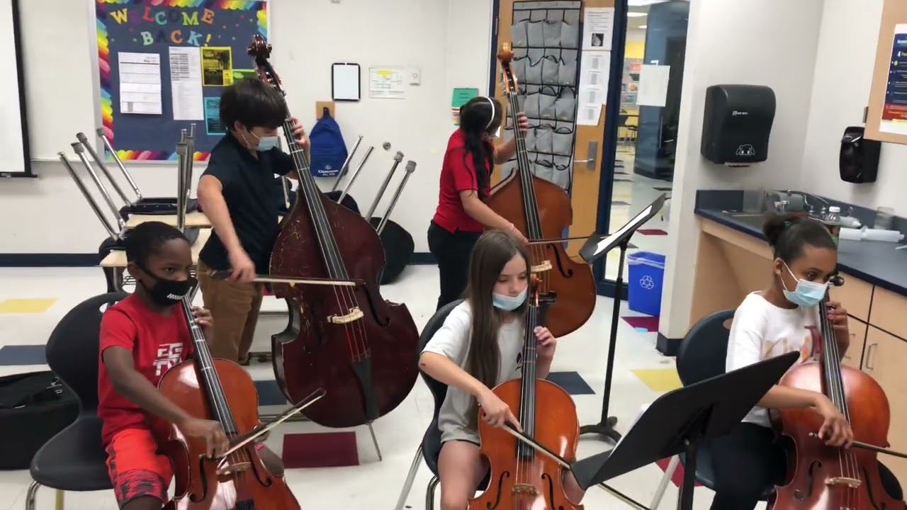 Beginners Cellos/Basses spring 2022