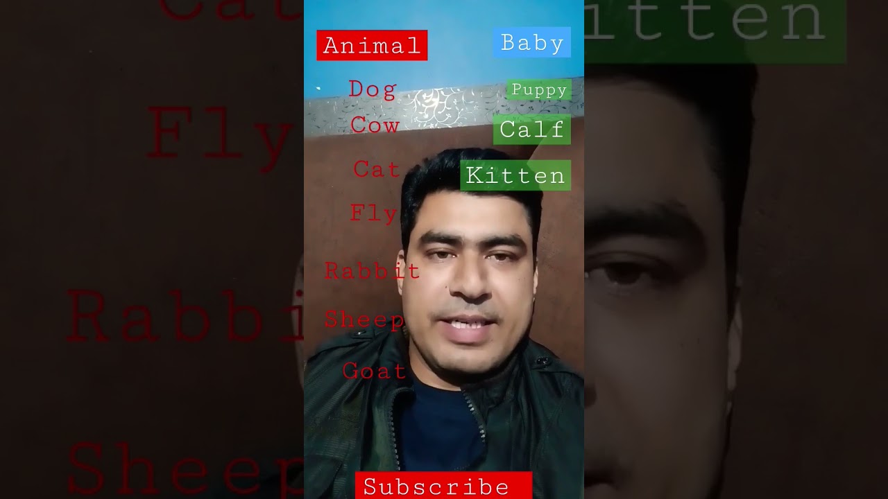 #clapingopractice #clapingo #clapingoconversation #shorts #englishgrammar #youtubeshorts #grammer
