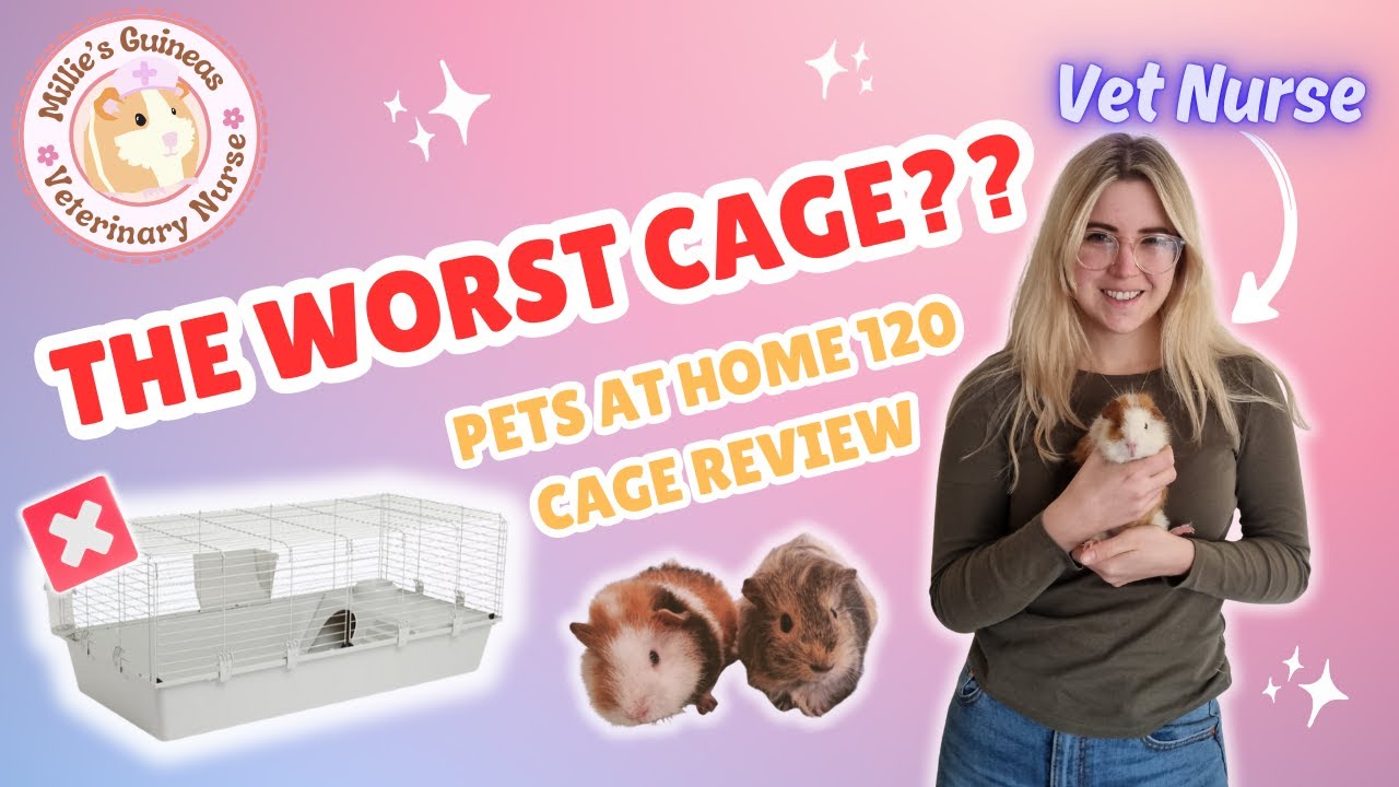 The WORST Guinea Pig Cage?? - Vet Nurse Reviews Pets at Home '120 Guinea Pig and Rabbit Cage'