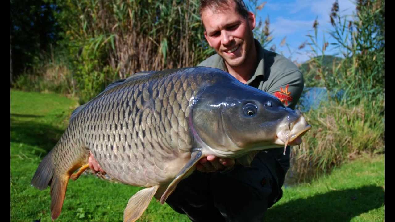 Carpfishing; Crave for Austria 2013