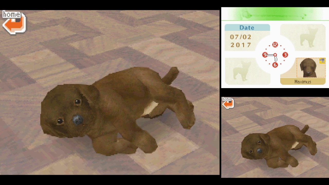 Let's Try [DS 0090] - Nintendogs: Lab & Friends