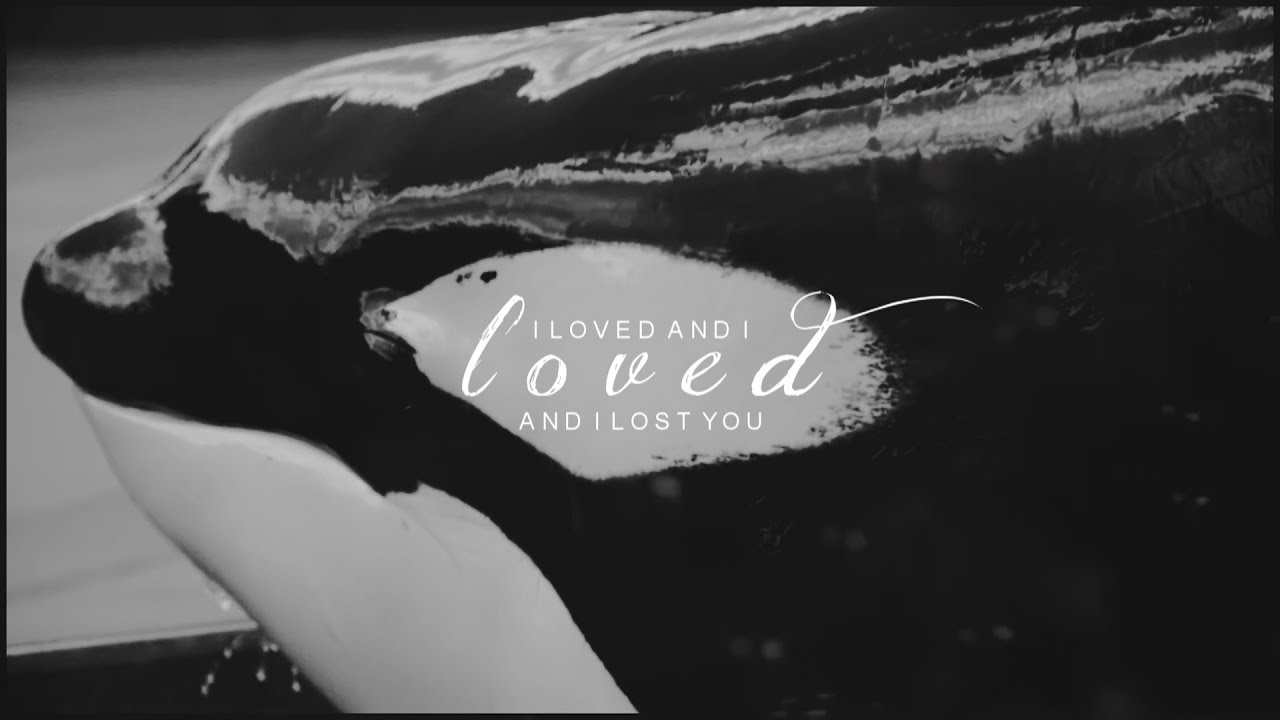 Farewell, my love...
