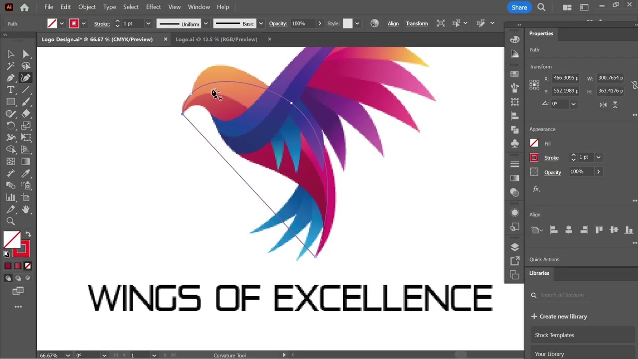 Wings Bird Logo Design NSDA Level 3 Job
