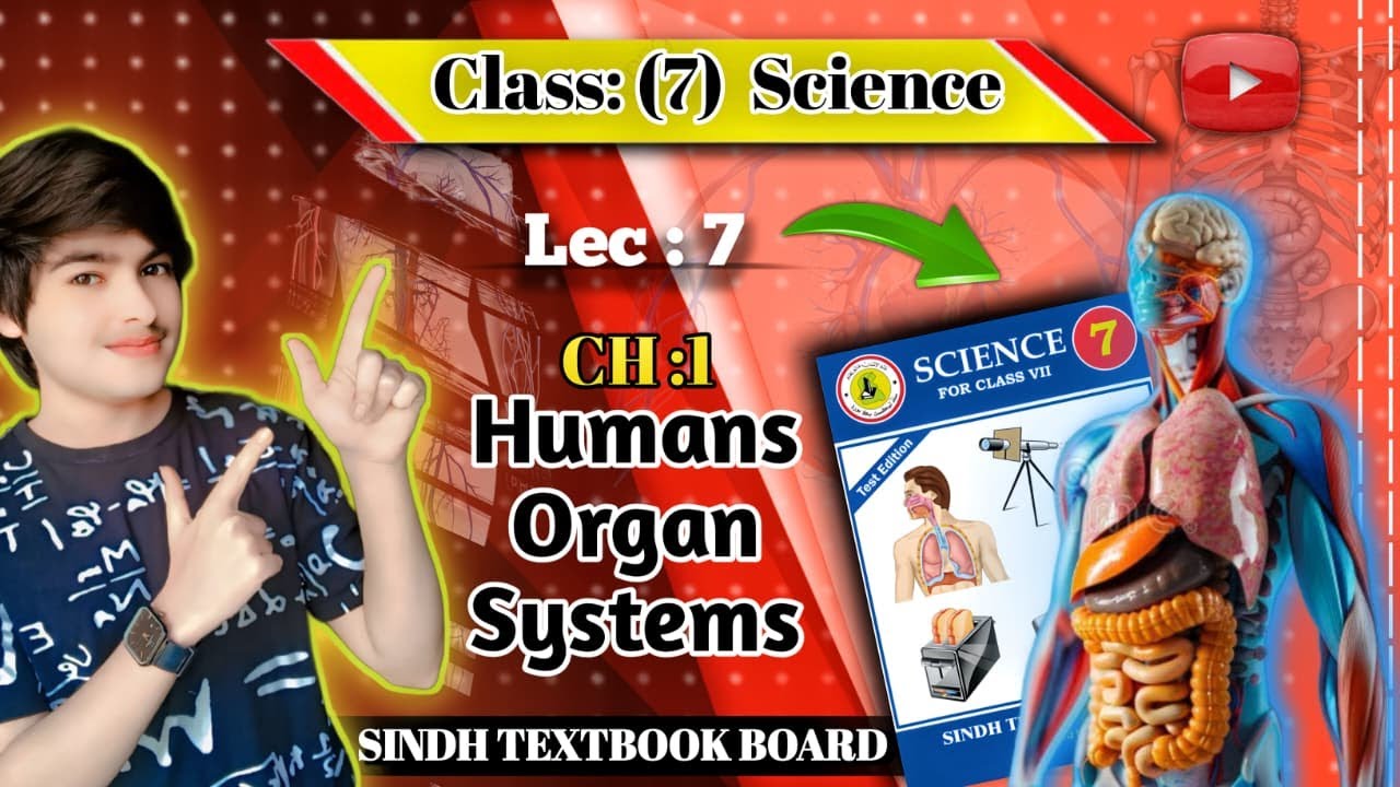 Class 7: Science | Chapter 1: Human Organ Systems | Lecture 7/Last: | Sindh Textbook Board