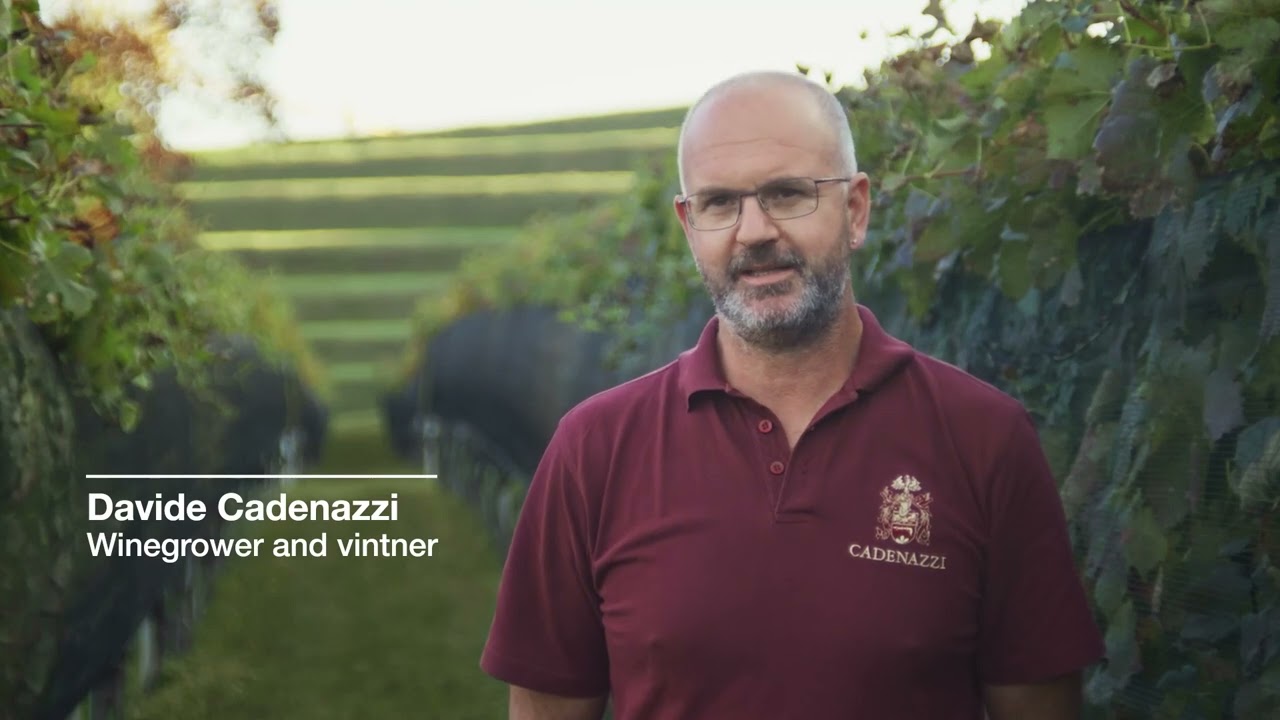 Discover a taste for grappa in autumnal Mendrisiotto | Switzerland Tourism