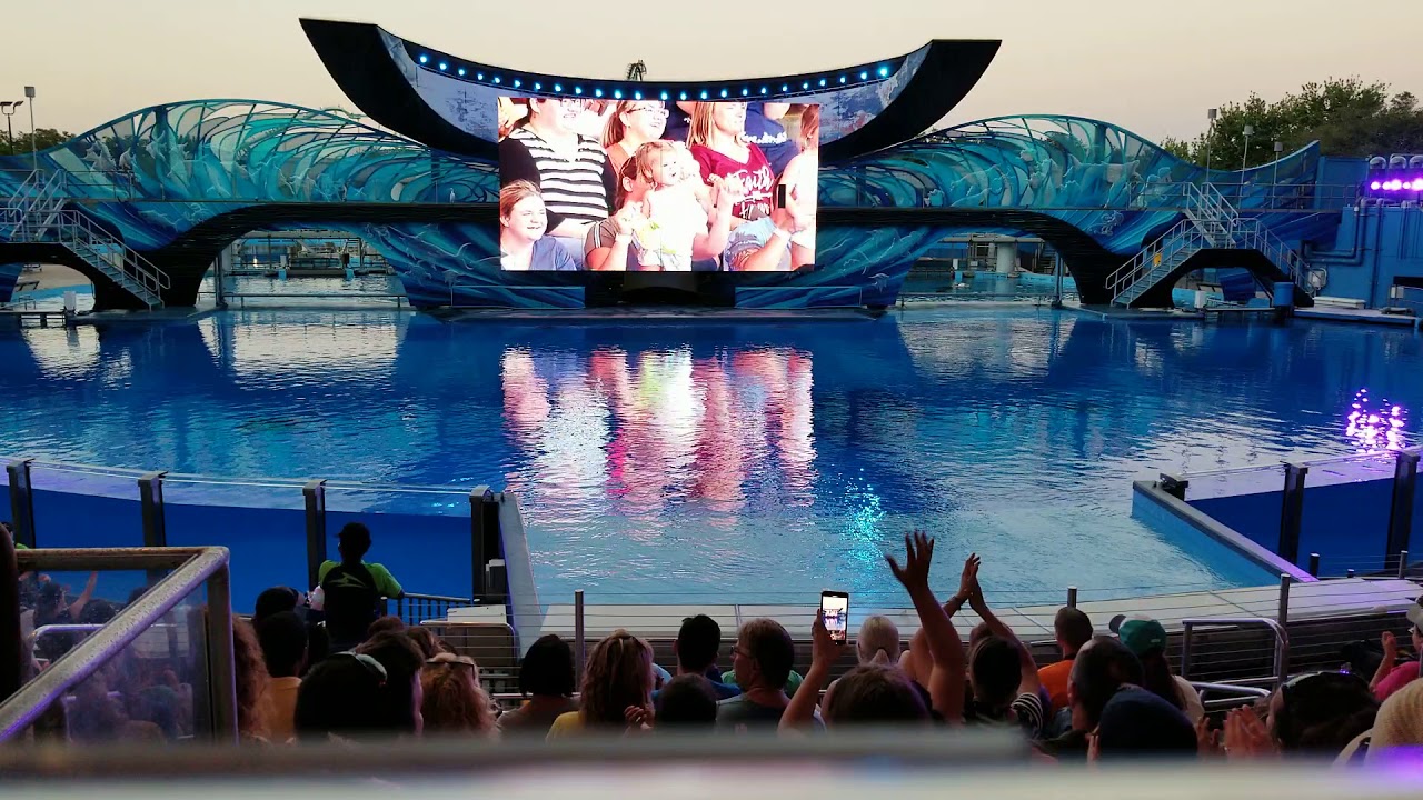 20190524 200446 Shamu's Celebration Light Up The Night part 1 of 2