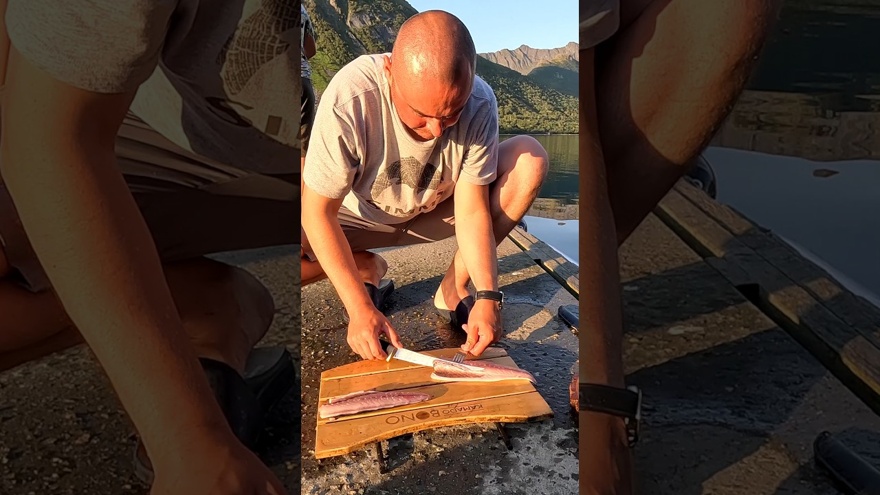 Пробуем сырую свежепойманную скумбрию #senjacamp #norway #fishinginnorway #островсенья #скумбрия