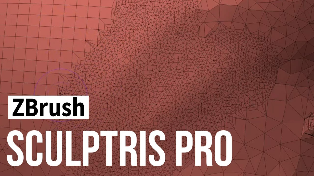 ZBrush - sculptris pro