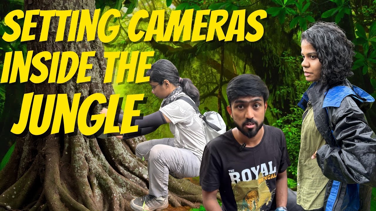 Exploring the Forest of Wai | Camera Trapping with Policy Advocacy Research Centre