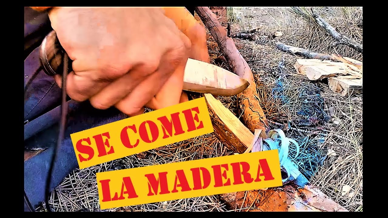 JOKER BUSHLORD, PRUEBAS Y AFILADO EN EL MONTE