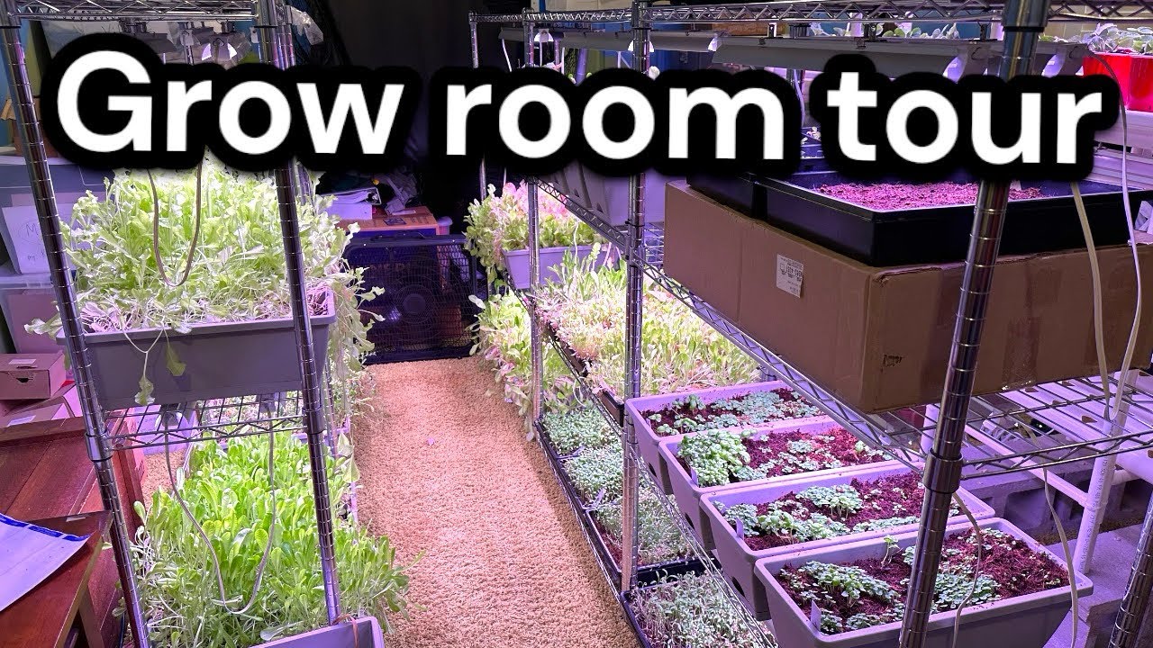 Grow Room Tour