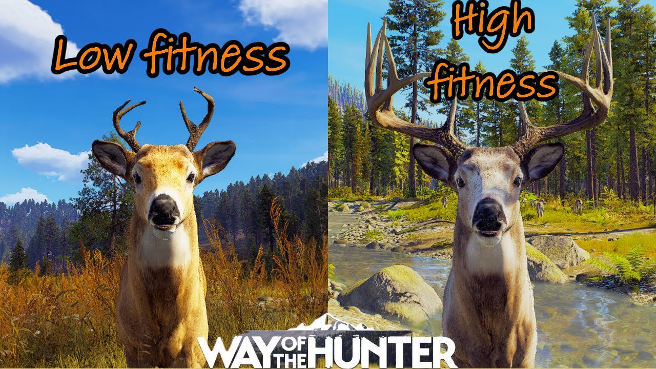 Knowing the difference between high and low fitness animals