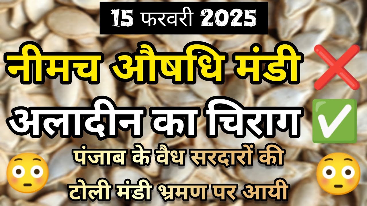 औषधि मंडी में भ्रमण करने आई पंजाबी वैद्य सरदारों की टोली 😳 ।। नीमच मंडी भाव