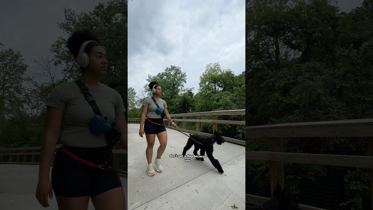 Active morning routine as a dog mom of 2! #dogmom #morningroutine #dogmomlife