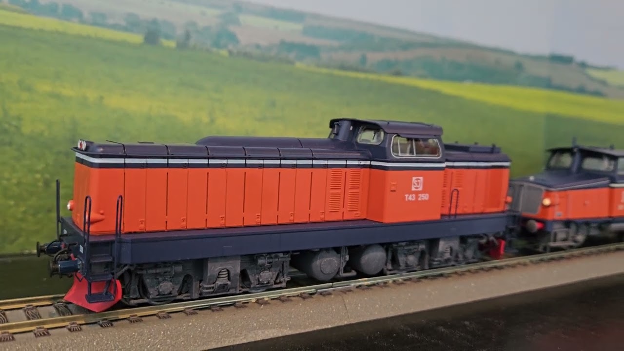 T43+Z65+T43