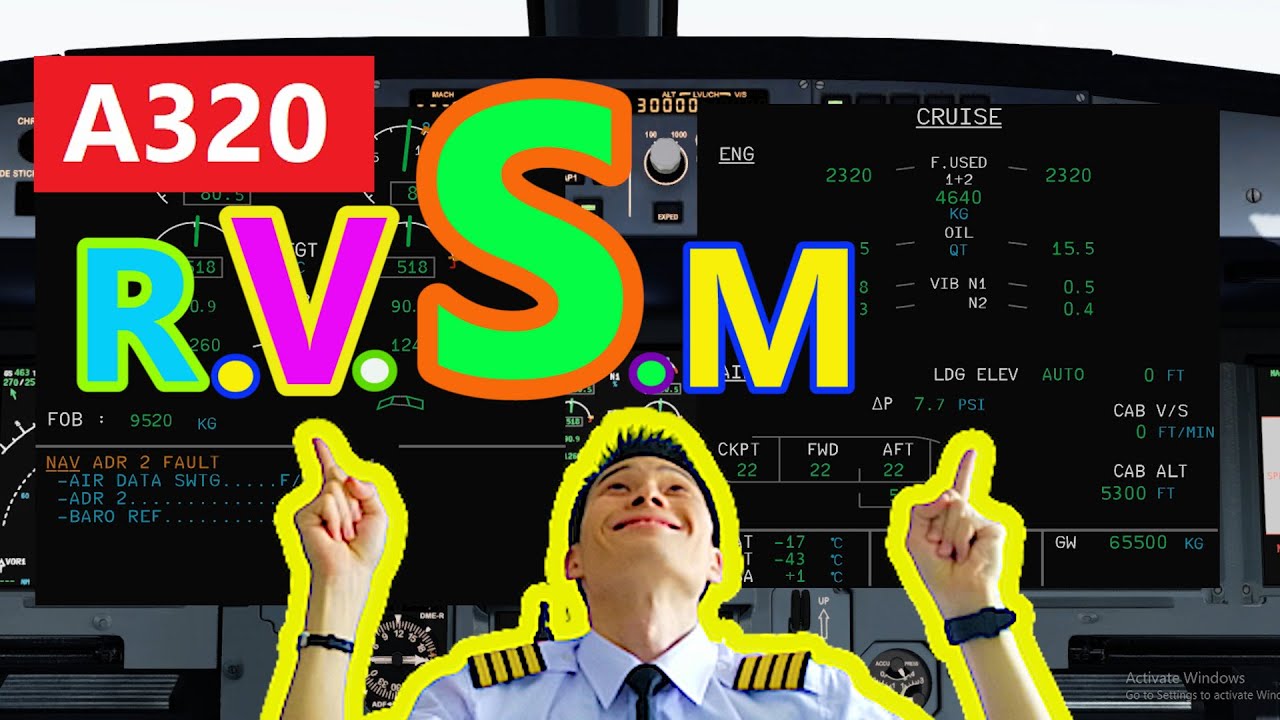 Reduced Vertical Separation Minima (RVSM) pilot interview
