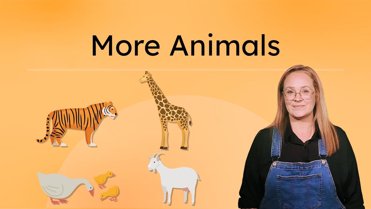 More Animals - Zoo and Farm Animal Signs in ASL