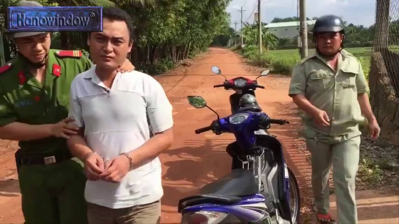 L&yacute; do cử nh&acirc;n Luật đi bắt trộm ch&oacute; để mưu sinh?