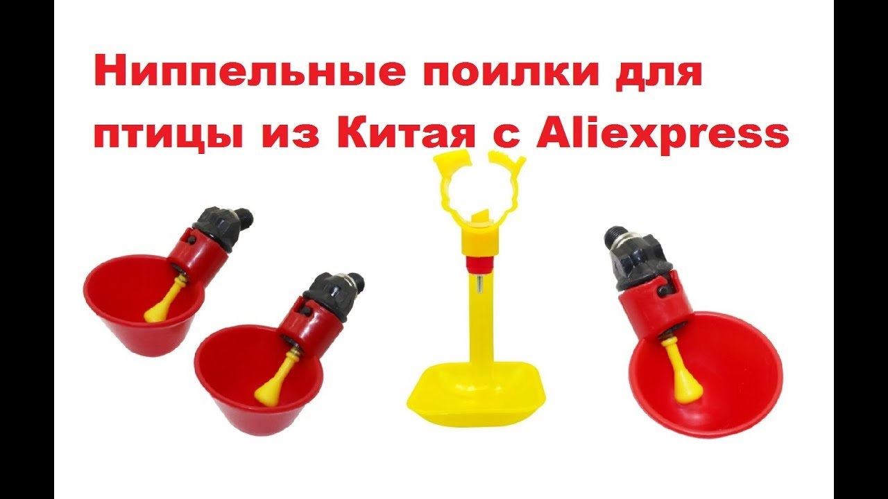 Ниппельные поилки для птицы из Китая с Aliexpress