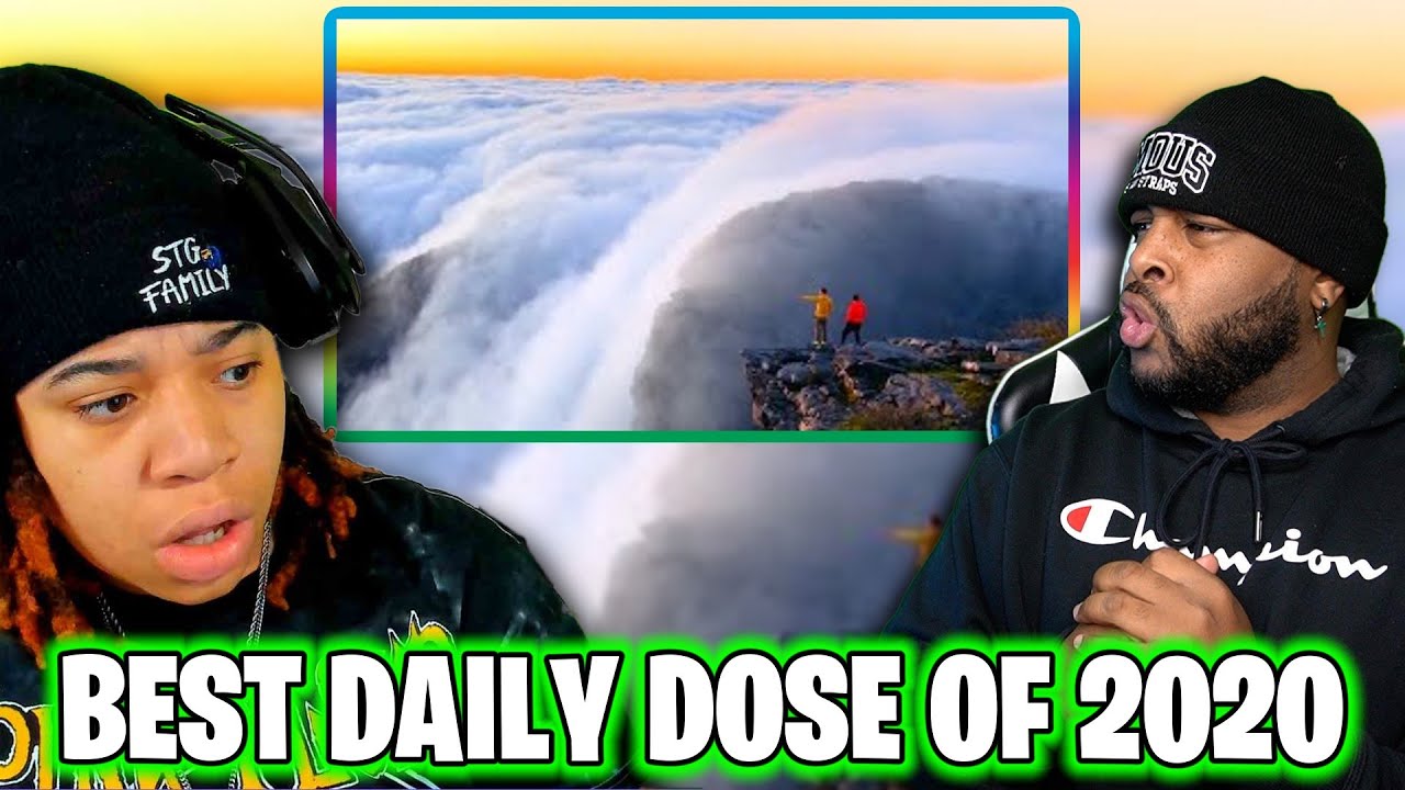 Daily Dose's The Best Of The Internet (2020).. I Can't Wait For 2021 Edition! W/ @BigHolla
