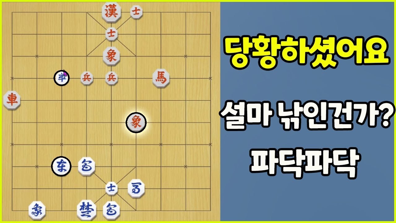 [프로의 한수] 당황하셨어요? 파닥파닥~~