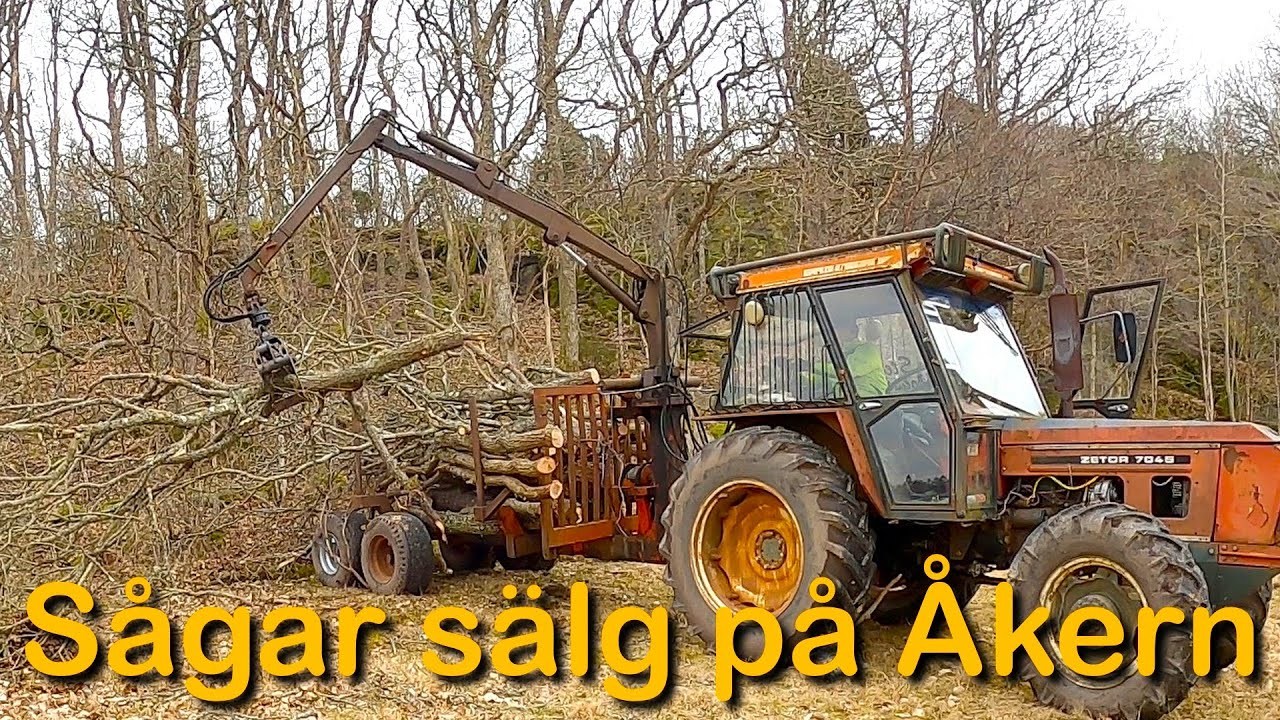 Såga sälg på åkern