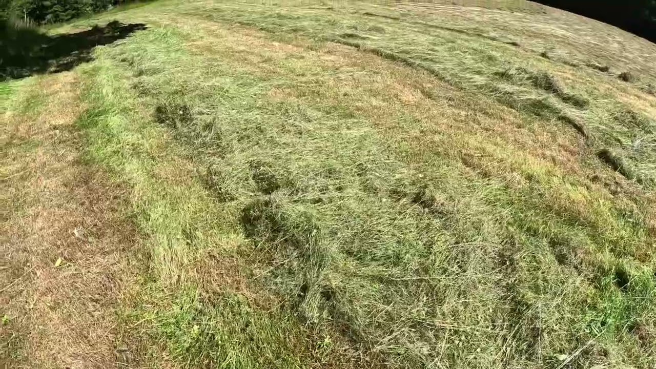 Homesteading in norway with old equipment