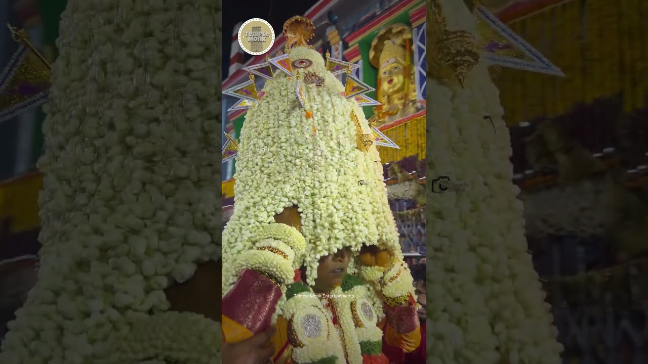 Seppings Road Fire Walking Festival 2025 | Sri Drowpathy Amman Temple | #templemonk