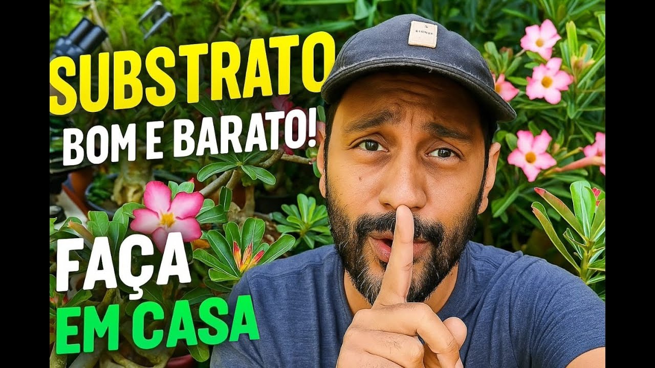 pare de gastar com substrato! Veja como fazer o seu em casa 🌿