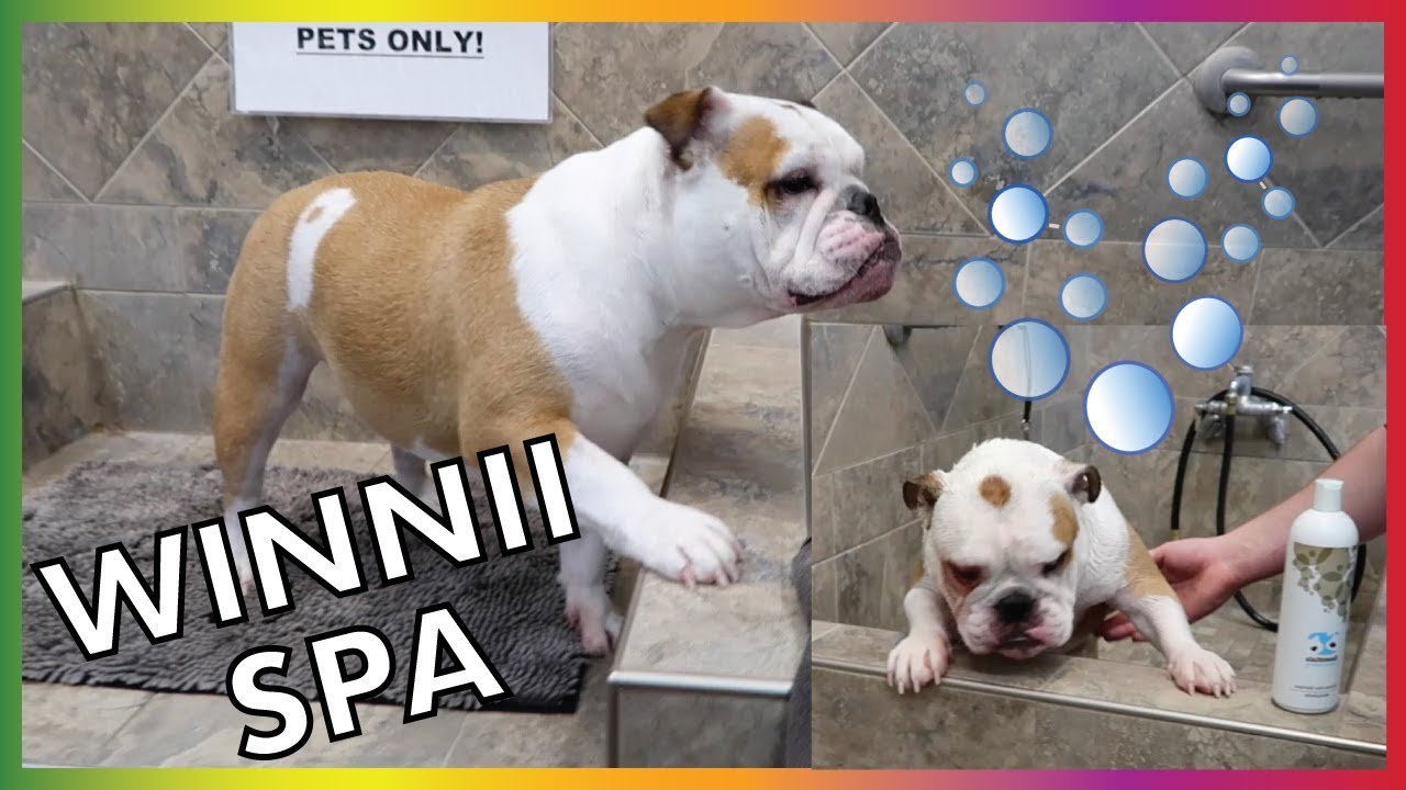 New Year, New Scent | Winnii Goes To The Spa