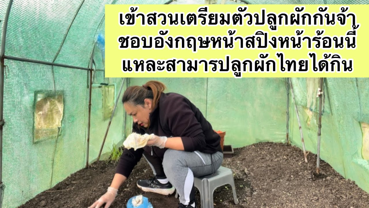 เข้าสวนเตรียมตัวปลูกผักกันจ้า ชอบอังกฤษหน้าสปิงหน้าร้อนนี้แหละสามารปลูกผักไทยได้กิน