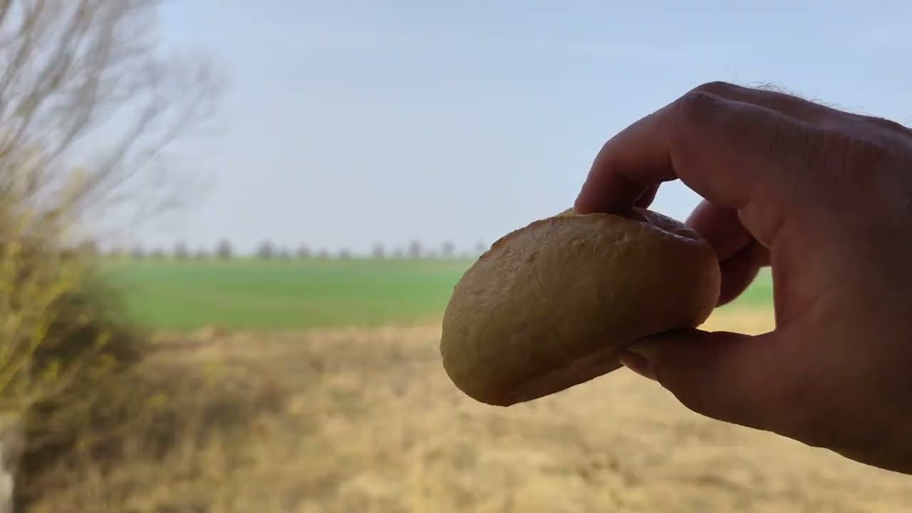 Frühstück im kleinen Hochsitz