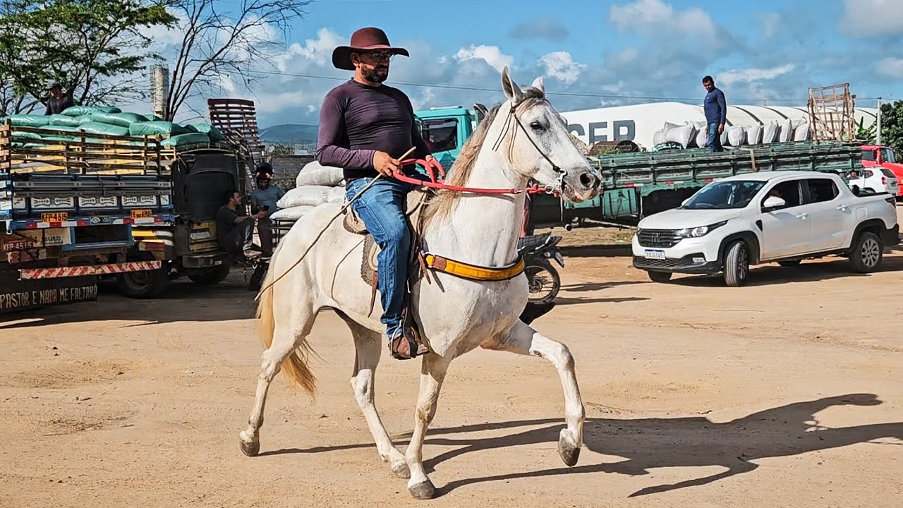 FEIRA DE CAVALOS DE CARUARU PE, TEVE MANGALARGA DANDO UM SHOW, TERÇA FEIRA, (22/04/25)