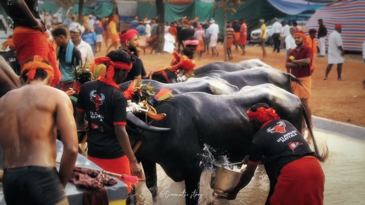 MOODUBIDRE KAMBALA 2K26 || HIGHLIGHTS || 4K CINEMATIC VIDEO ||