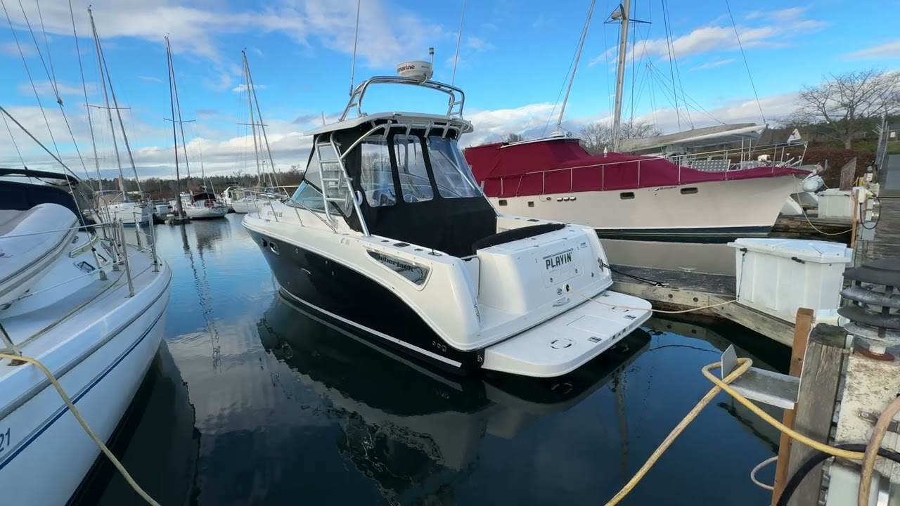 290 Sea Ray Amberjack 2009 - Открытый тур, 60 000 долларов США