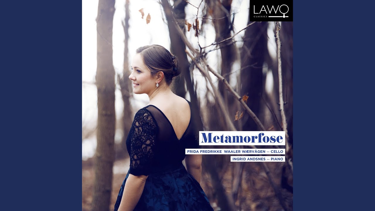 Cellosonate, Op. 36: I. Allegro agitato